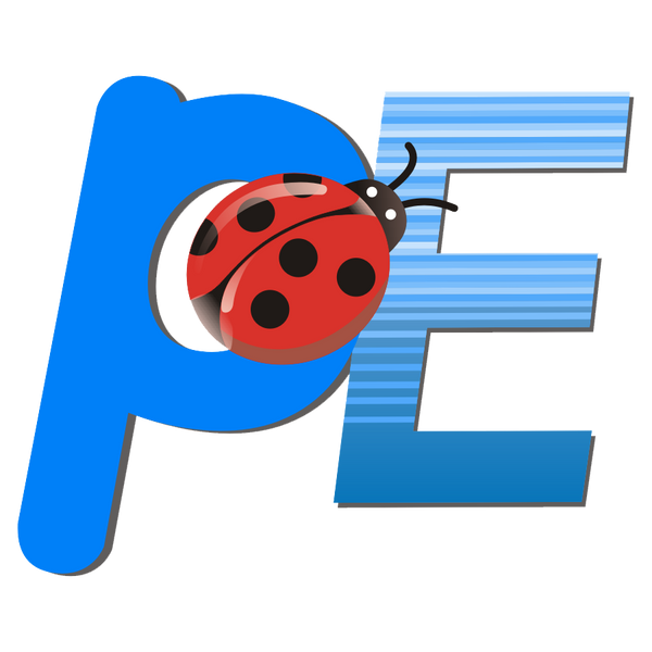PE Decorations and Gifts Shop logo